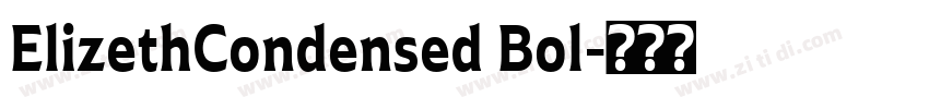 ElizethCondensed Bol字体转换